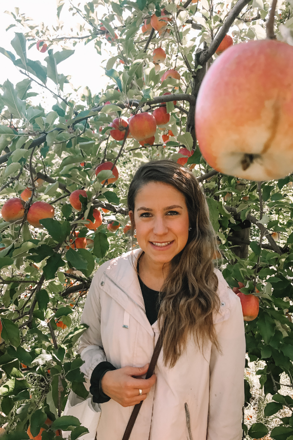 Apple Picking